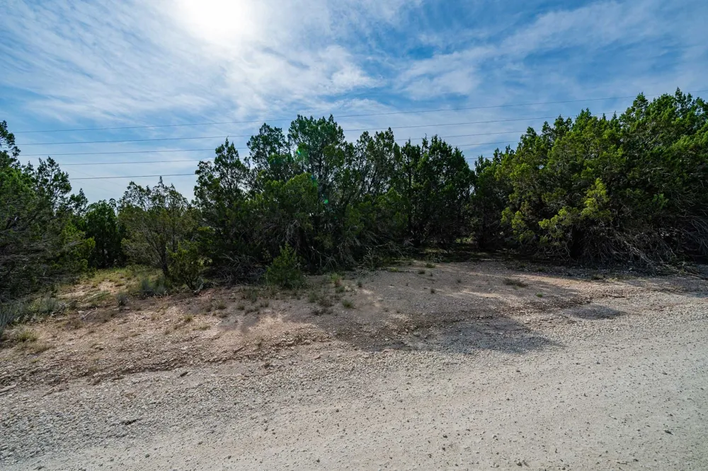 149 Antler Ridge Tuscola, TX 79562