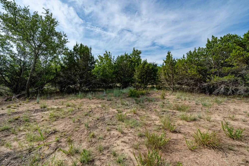 149 Antler Ridge Tuscola, TX 79562