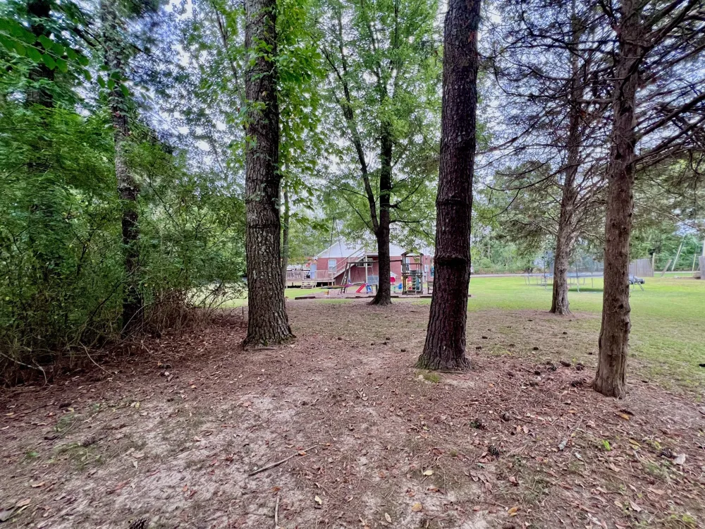 690 Monument Rd Summertown, TN 38483