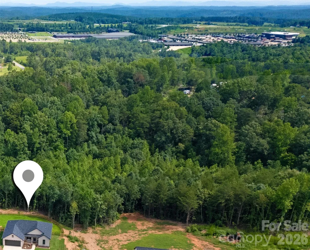 98 Lexxi Lane Tryon, NC 28782