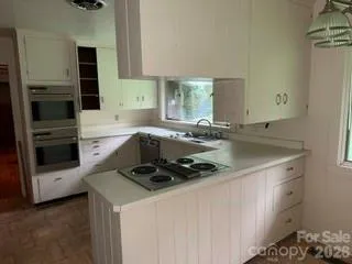 103 Brookwood Drive Tryon, NC 28782