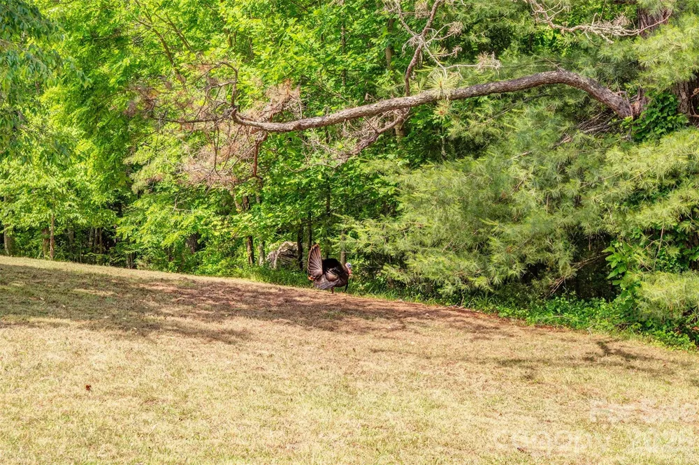 136 Graveyard Road #Lots 1&2 Fairview, NC 28730