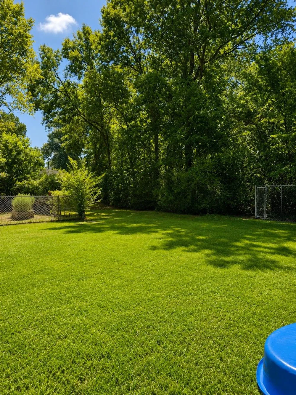 1610 Lilac Avenue Lufkin, TX 75901