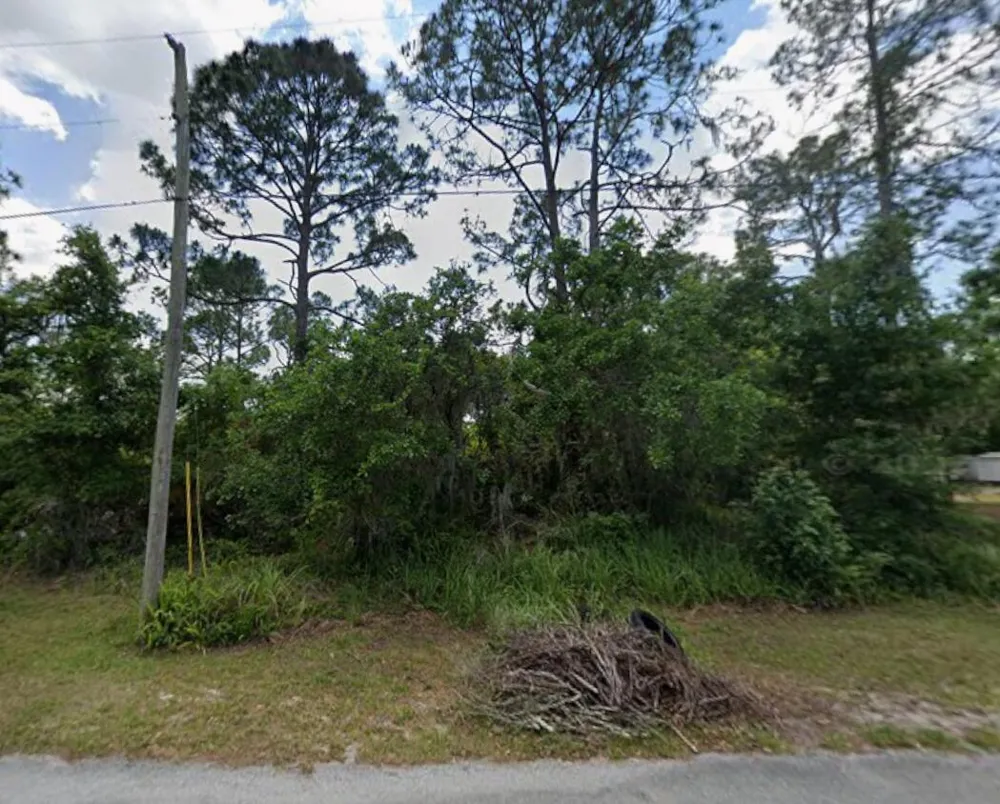 456 Bonnie Road NW Lake Placid, FL 33852