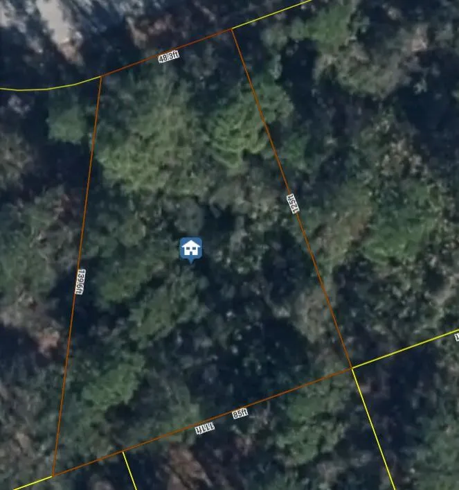456 Bonnie Road NW Lake Placid, FL 33852
