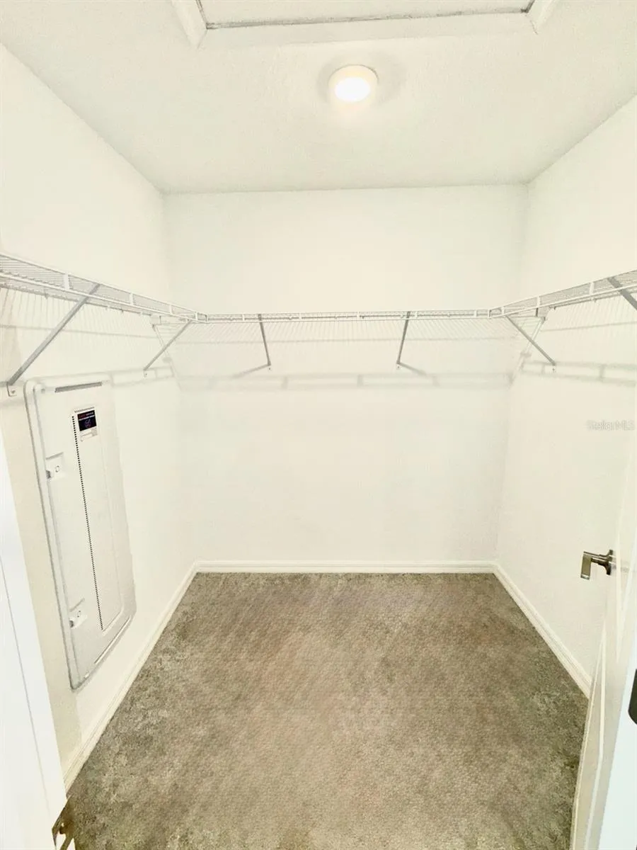 6115 SHINER STREET Land O Lakes, FL 34638