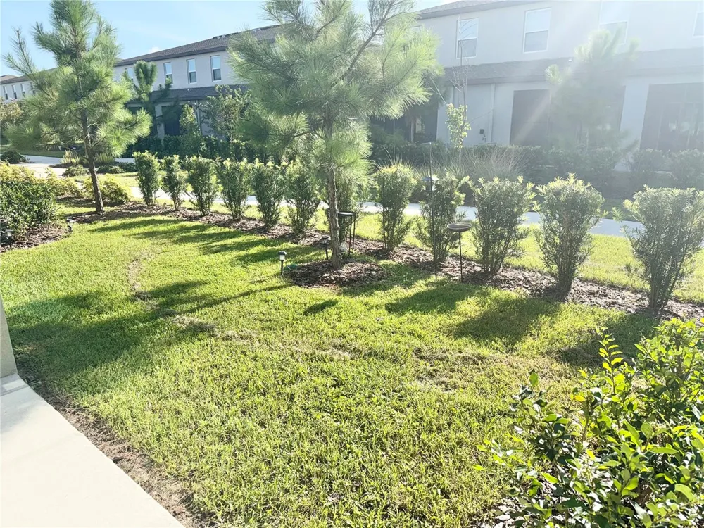 6115 SHINER STREET Land O Lakes, FL 34638