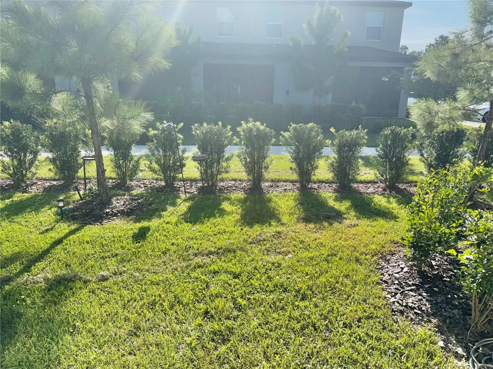 6115 SHINER STREET Land O Lakes, FL 34638