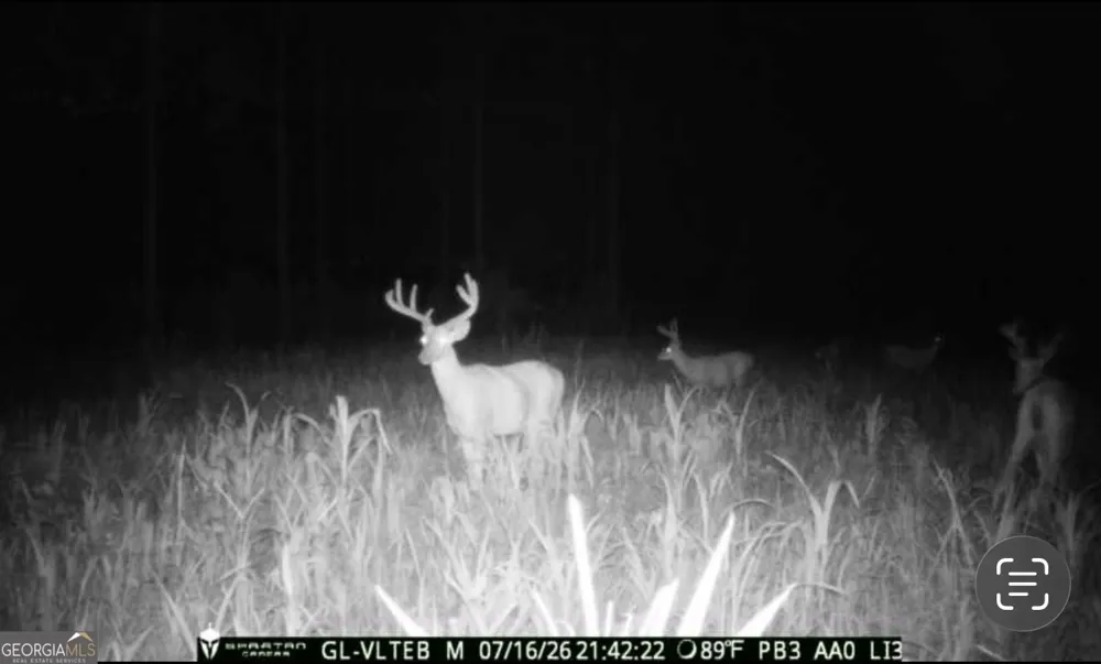 0 Poplar Springs RD Byromville, GA 31007