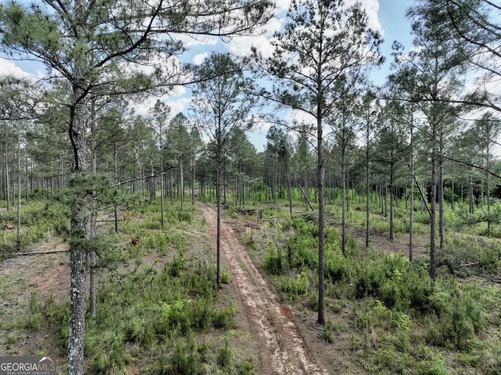 0 Poplar Springs RD Byromville, GA 31007