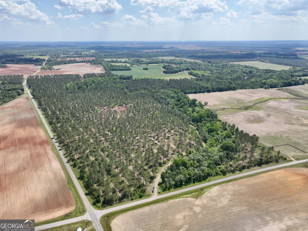 0 Poplar Springs RD Byromville, GA 31007