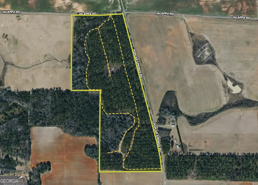 0 Poplar Springs RD Byromville, GA 31007