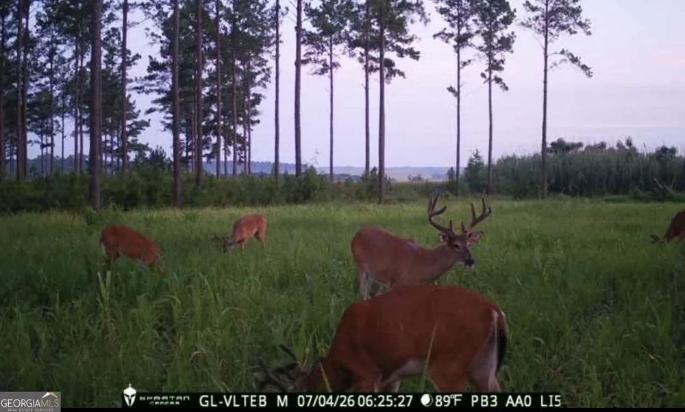 0 Poplar Springs RD Byromville, GA 31007