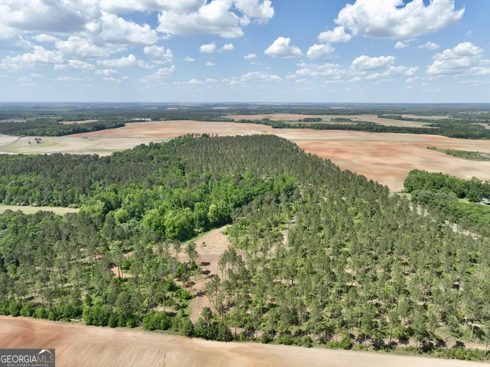 0 Poplar Springs RD Byromville, GA 31007