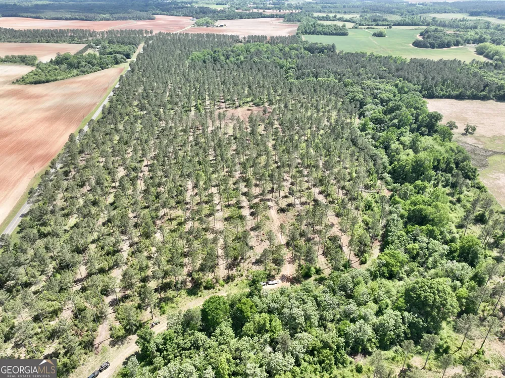 0 Poplar Springs RD Byromville, GA 31007