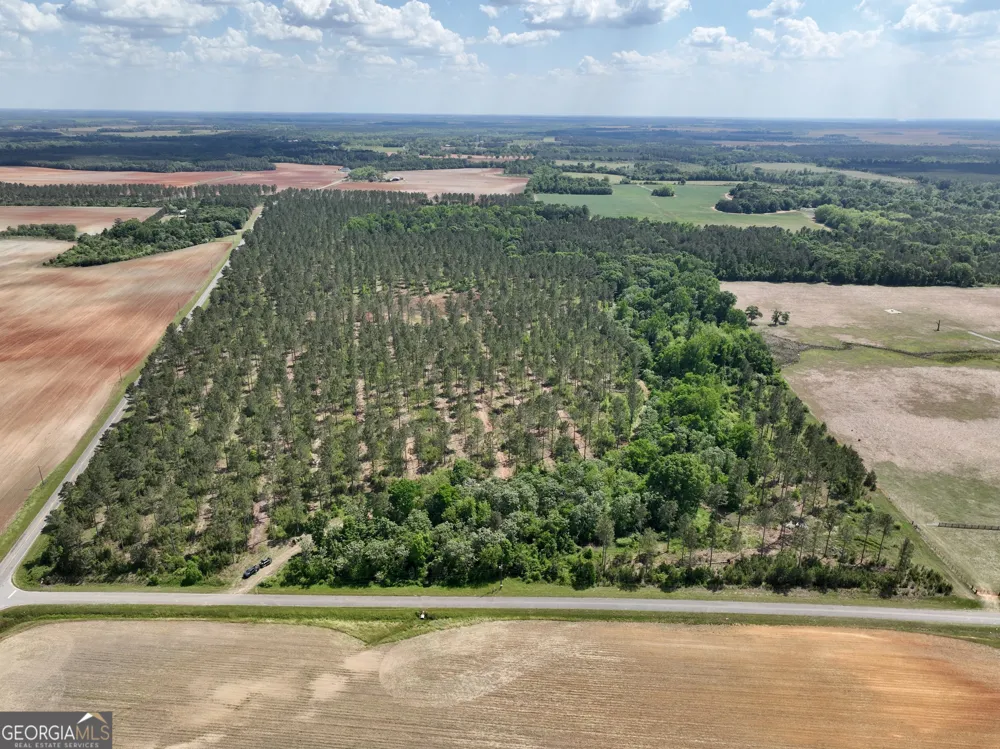 0 Poplar Springs RD Byromville, GA 31007