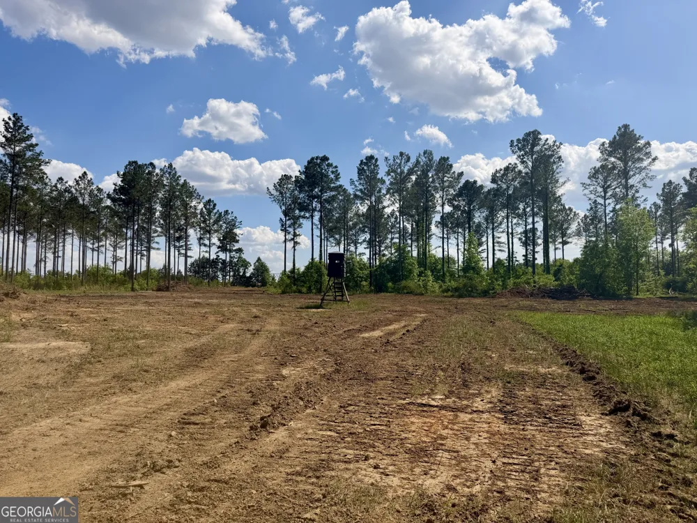 0 Poplar Springs RD Byromville, GA 31007