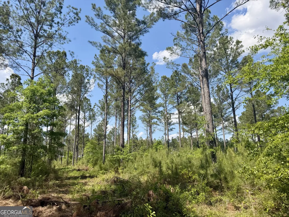 0 Poplar Springs RD Byromville, GA 31007