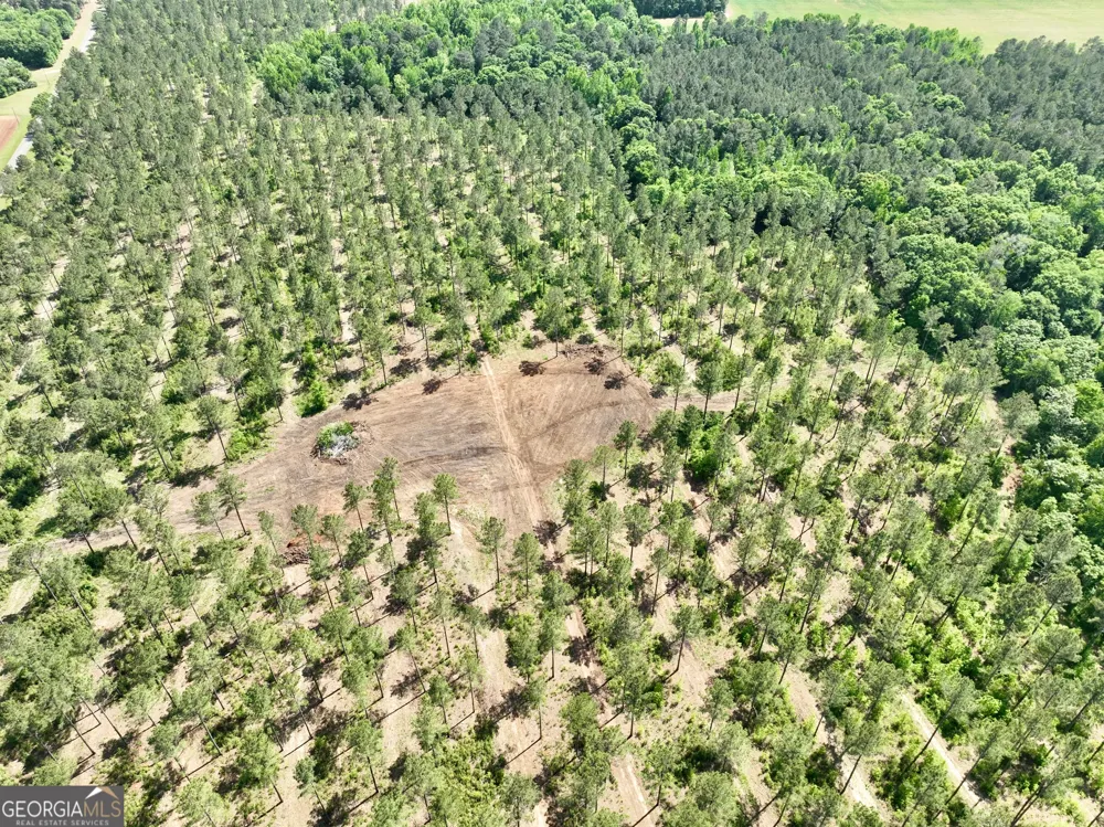 0 Poplar Springs RD Byromville, GA 31007