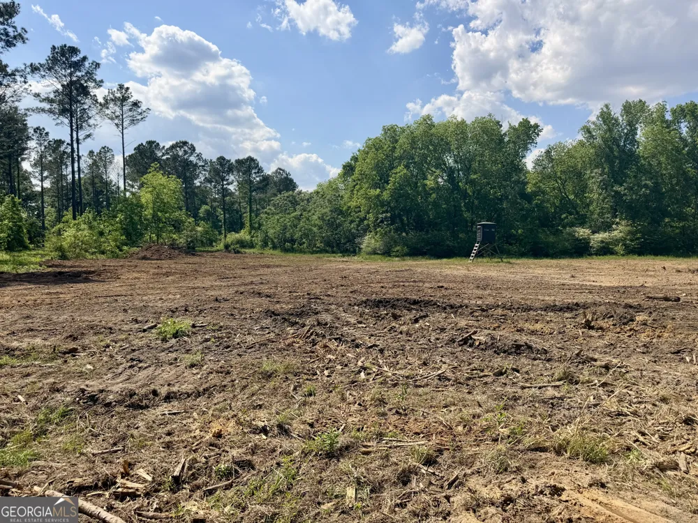 0 Poplar Springs RD Byromville, GA 31007