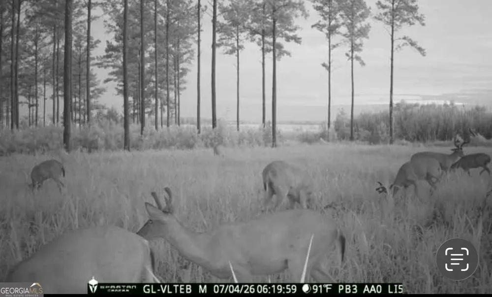 0 Poplar Springs RD Byromville, GA 31007