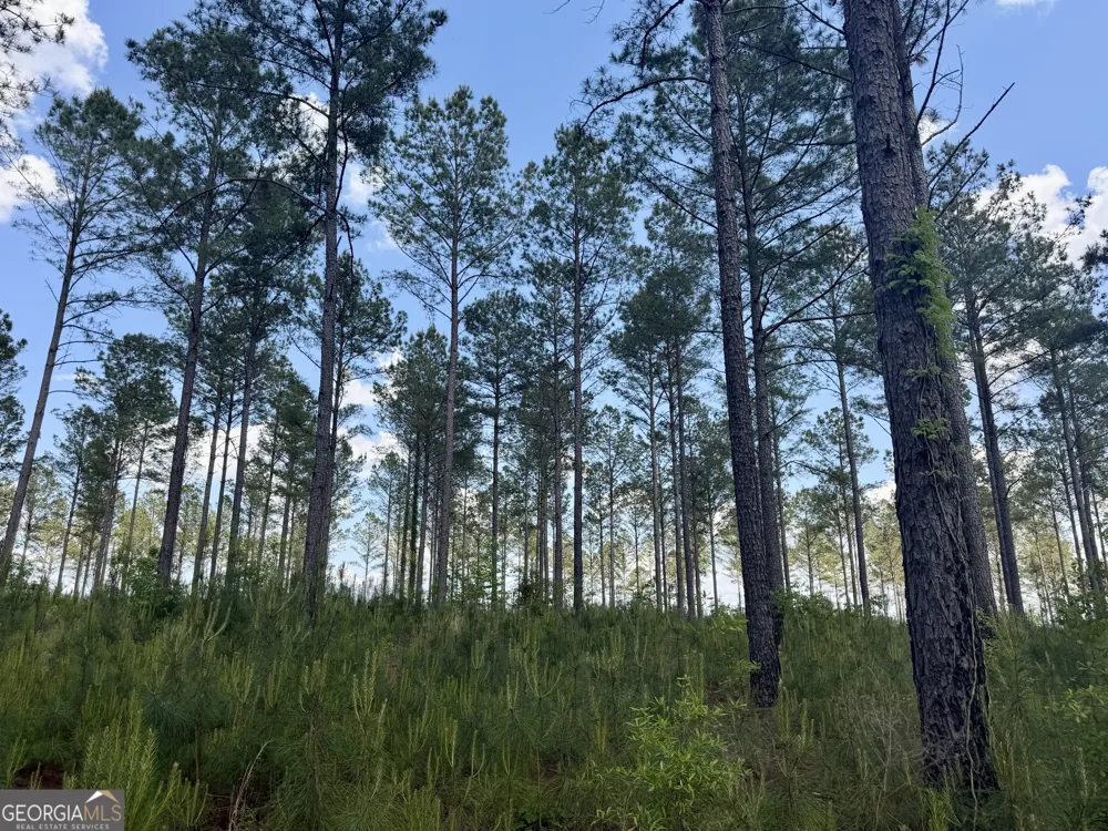 0 Poplar Springs RD Byromville, GA 31007