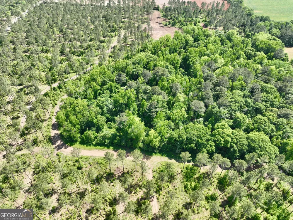 0 Poplar Springs RD Byromville, GA 31007