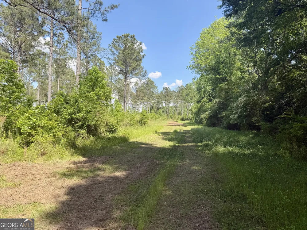 0 Poplar Springs RD Byromville, GA 31007