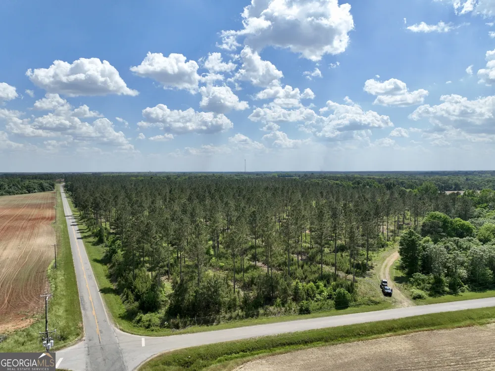 0 Poplar Springs RD Byromville, GA 31007
