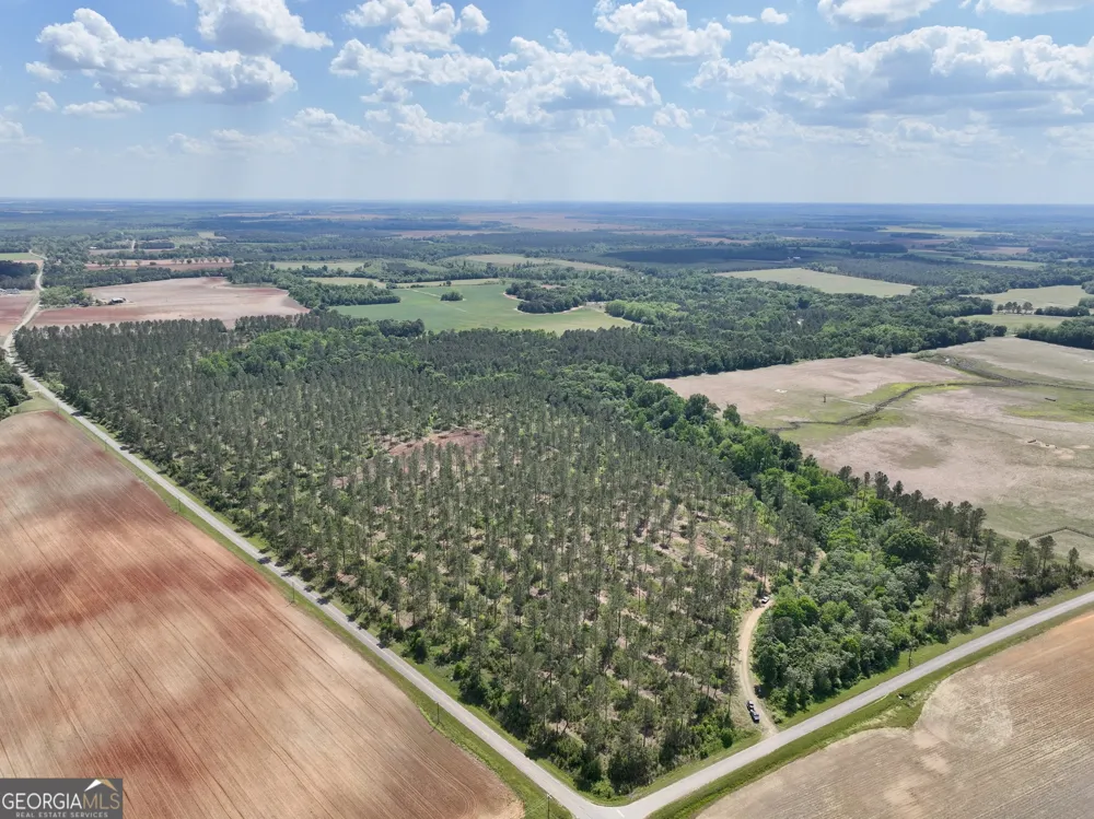 0 Poplar Springs RD Byromville, GA 31007