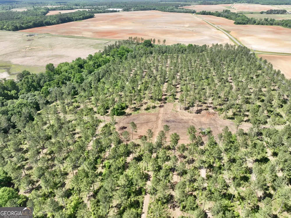 0 Poplar Springs RD Byromville, GA 31007