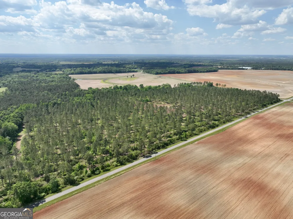 0 Poplar Springs RD Byromville, GA 31007