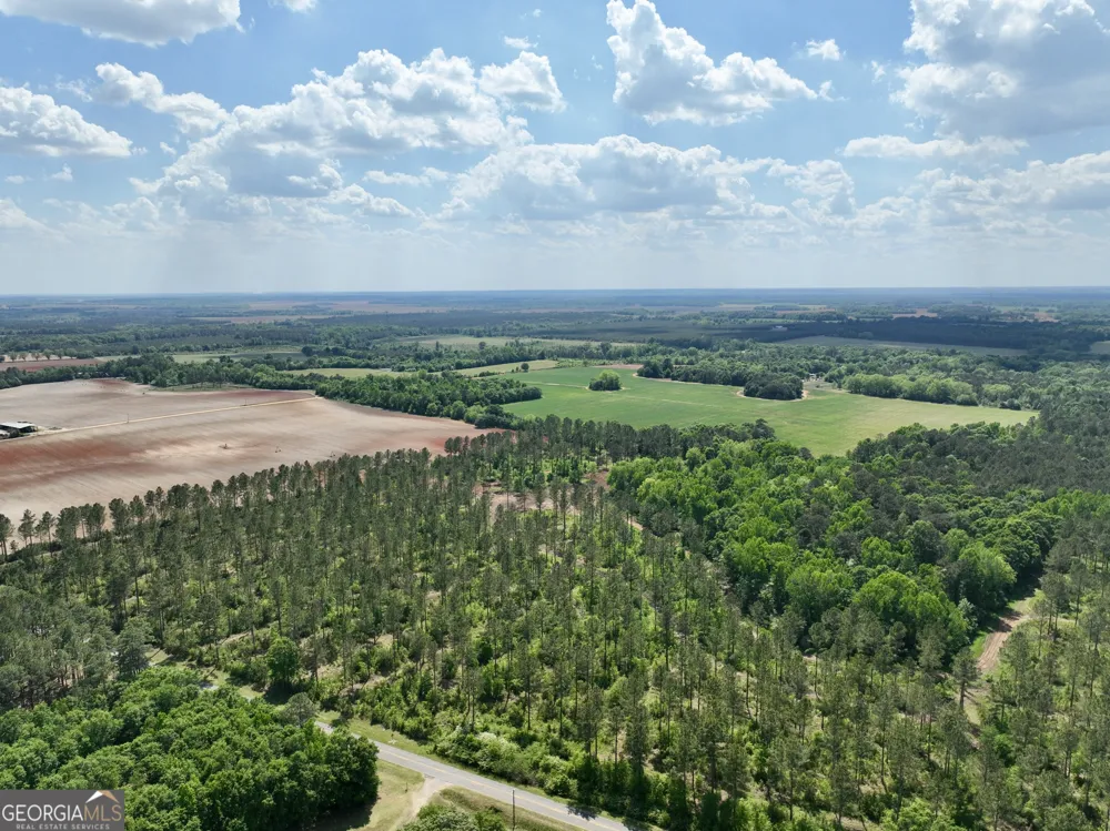 0 Poplar Springs RD Byromville, GA 31007