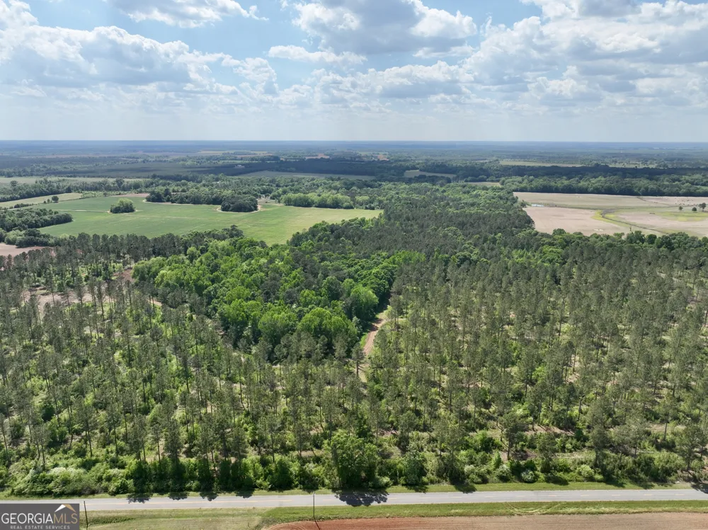 0 Poplar Springs RD Byromville, GA 31007
