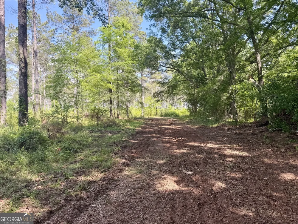 0 Poplar Springs RD Byromville, GA 31007