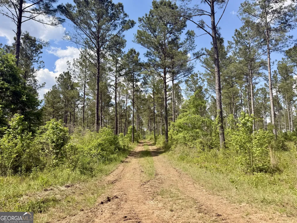 0 Poplar Springs RD Byromville, GA 31007