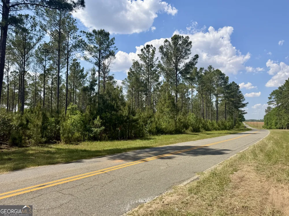 0 Poplar Springs RD Byromville, GA 31007