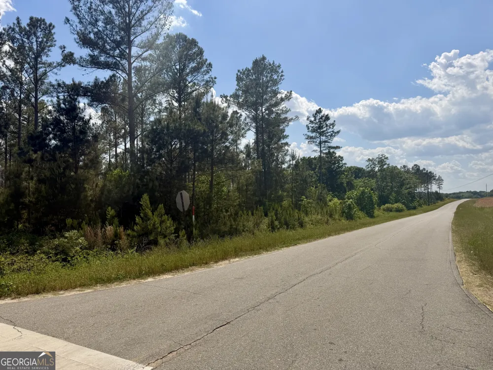 0 Poplar Springs RD Byromville, GA 31007
