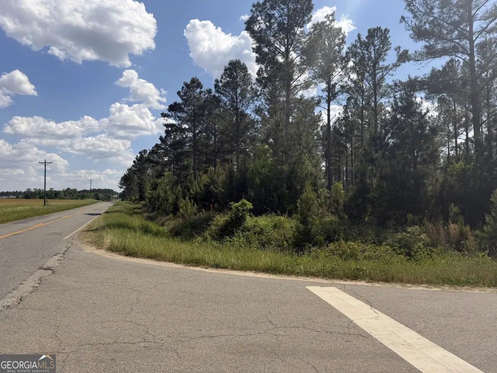 0 Poplar Springs RD Byromville, GA 31007