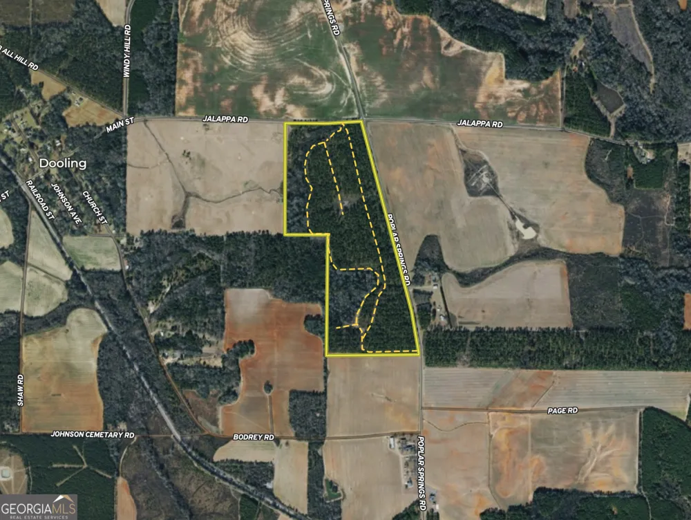 0 Poplar Springs RD Byromville, GA 31007