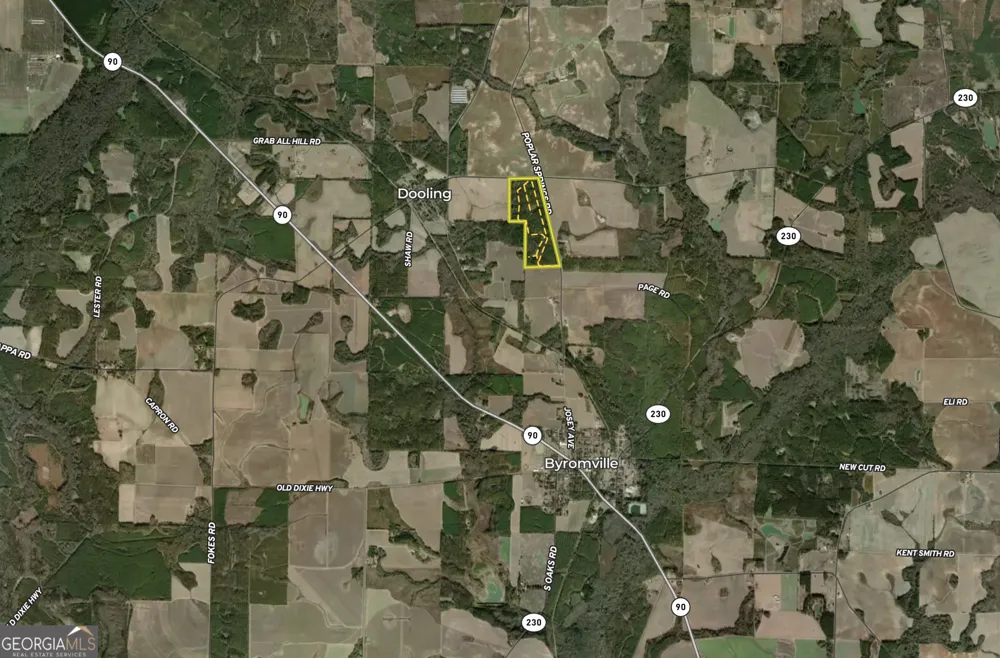 0 Poplar Springs RD Byromville, GA 31007