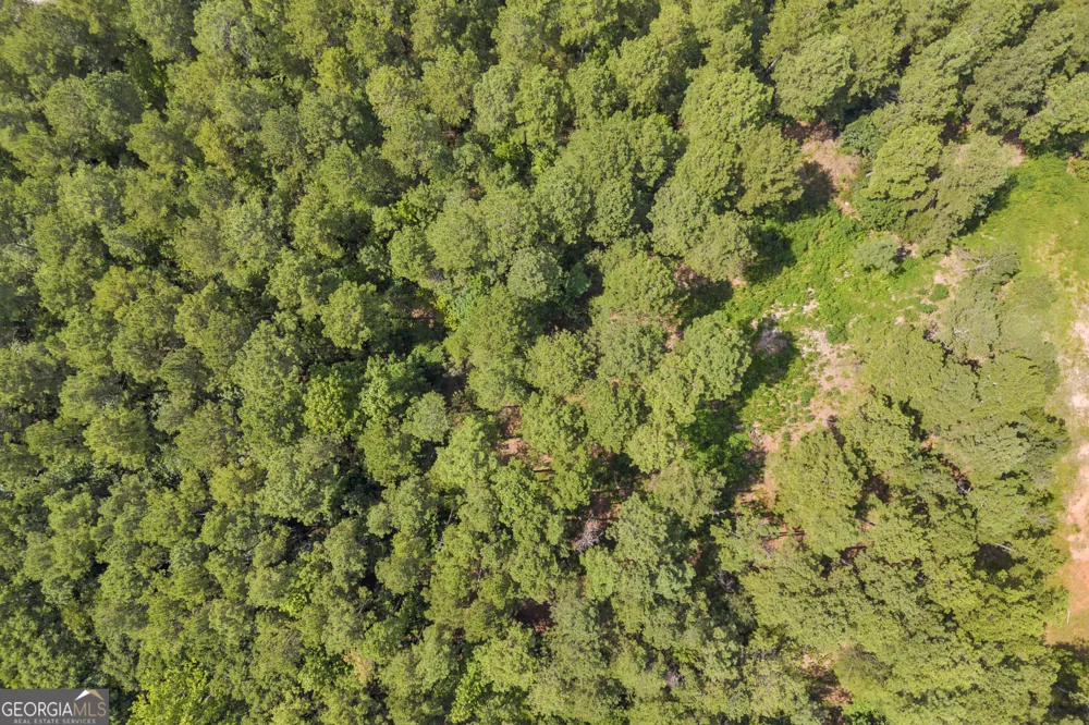 0 Hornets Bridge RD Elberton, GA 30635