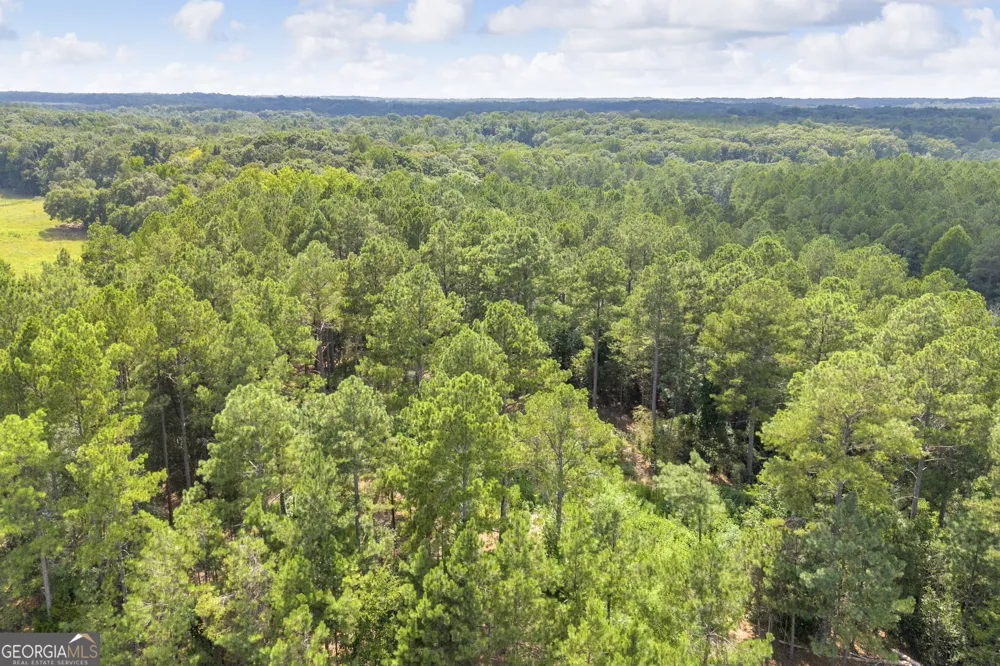 0 Hornets Bridge RD Elberton, GA 30635