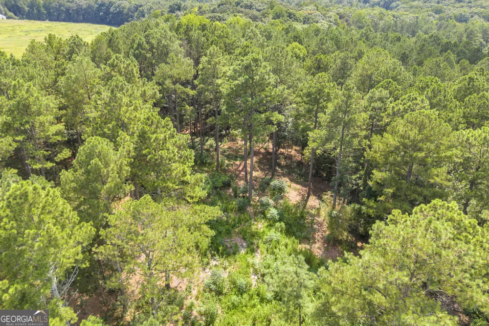 0 Hornets Bridge RD Elberton, GA 30635