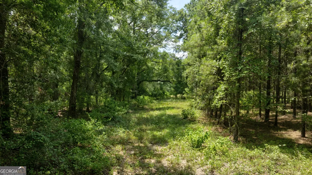 0 Sunbury RD Claxton, GA 30417