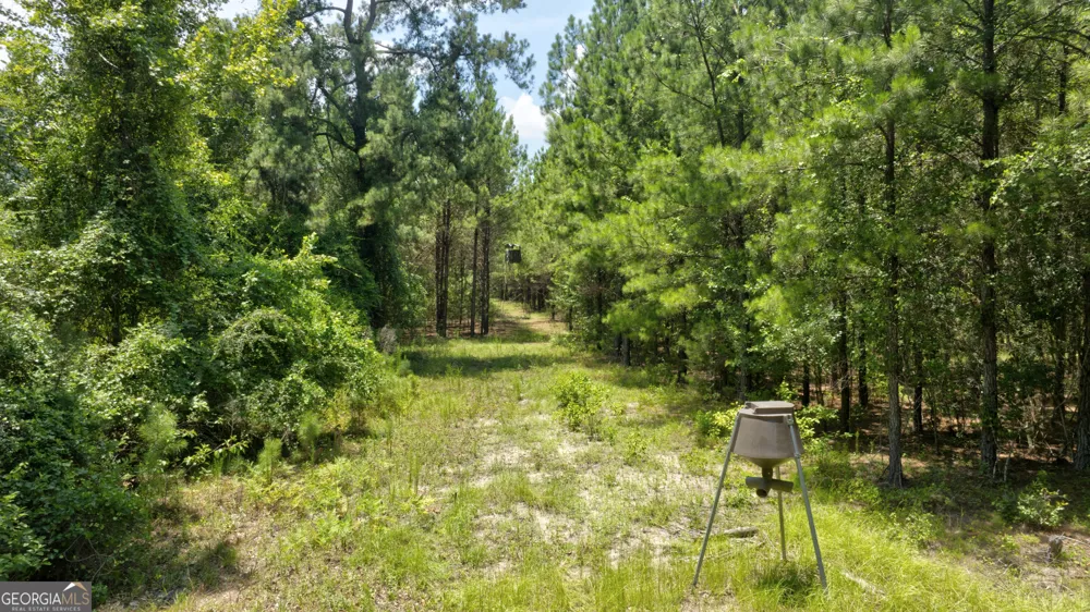 0 Sunbury RD Claxton, GA 30417
