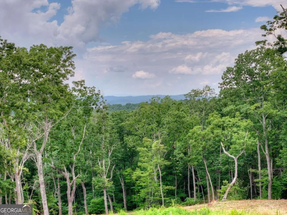 624 High Summit DR Talking Rock, GA 30175