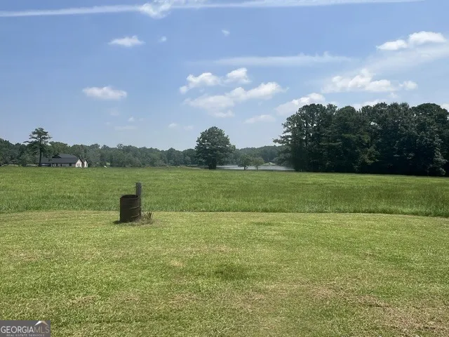 64 Lake DR Manchester, GA 31816