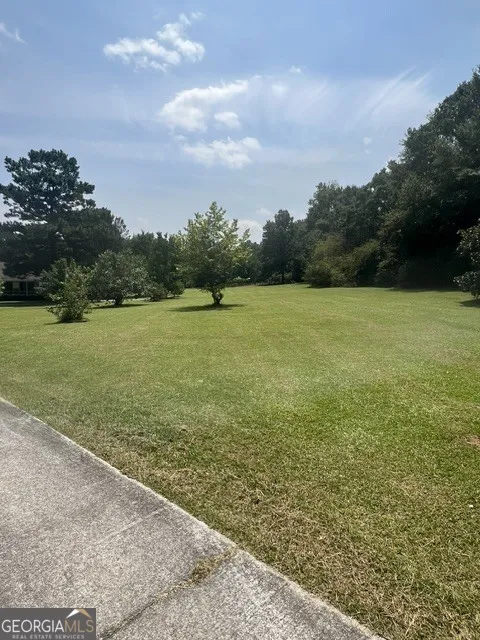 64 Lake DR Manchester, GA 31816