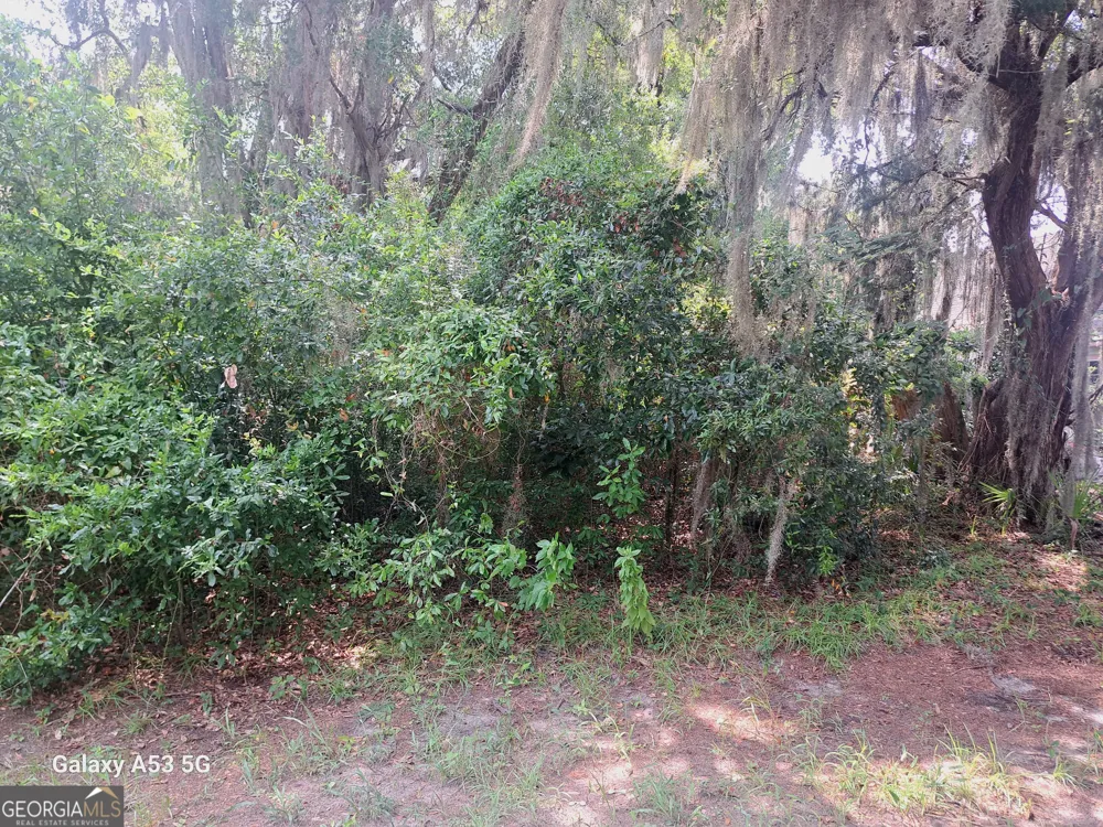 706 Ready ST St. Marys, GA 31558
